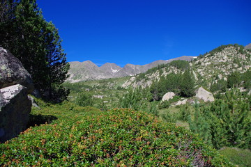 Fototapeta na wymiar Paysage de montagne vert et bleu