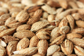 Fried inshell almonds