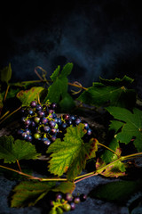Grape Still life