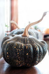 Pumpkin Still life