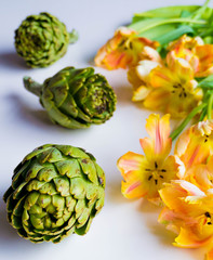 Artichokes on light background