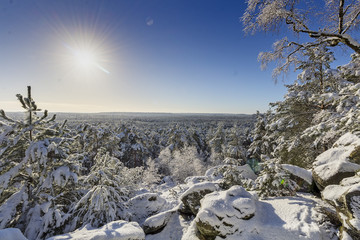Point de vue en forêt de Fontainebleau sous la neige