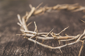Crown of Thorns Easter Background