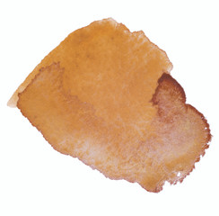 yellow brown watercolor design element with texture