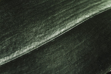 Macro shot of abstract dark green leaf texture with diagonal line for background