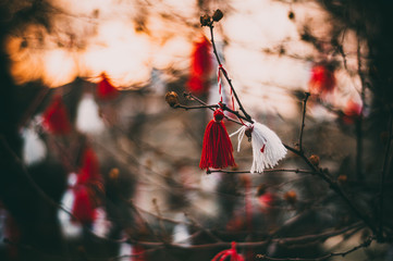 Fototapeta na wymiar Red and white beautiful martisor hanging on the branches of the tree in the evening At the sunset