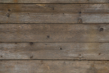 Naklejka premium Natural gray wood organic texture
