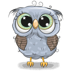 Fototapeta premium Śliczna sowa odizolowywająca na białym tle