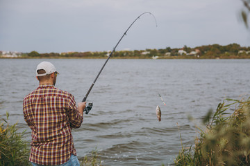 Back view Young unshaven man in checkered shirt, cap and sunglasses pulls out fishing pole with caught fish on lake from shore near shrubs and reeds. Lifestyle, recreation, fisherman leisure concept