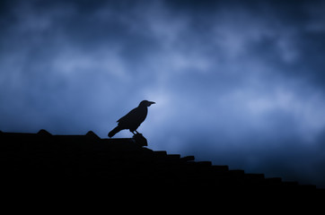 crow silhouette on old building rooftor with dramatic storm clouds in background