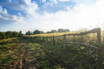 Obraz premium Photo nature. Landscape.