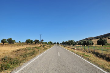 An empty road through the field