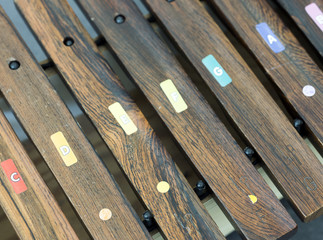 closeup of wooden marimba kind of instrument for children seen from above