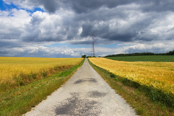 Fototapety na wymiar - Fototapeta24.pl