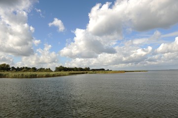 Oderhaff bei Mönkebude