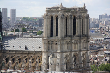 Tour de la cathédrale Notre-Dame à Paris, France