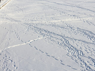 tracks on snowy ice on a winter day