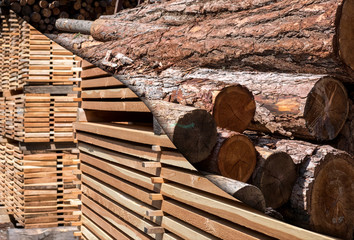Holzknappheit, Sägewerk, Holzverarbeitung