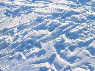 tracks on snowy ice on a winter day