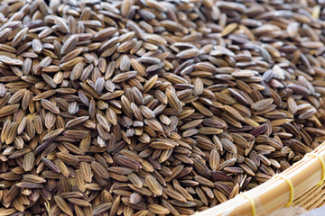 closeup of ricebery the best rice in the world