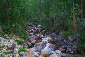 Fast river in a mountain forest with big rocks and stones at summer day