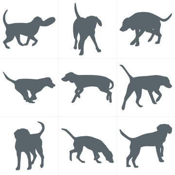 Vector dogs silhouettes