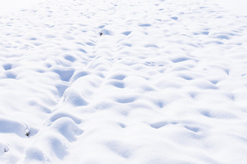 Obraz premium snow in the field background