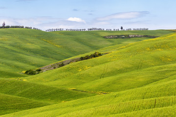 Rolling fields in a valley in a rural landscape