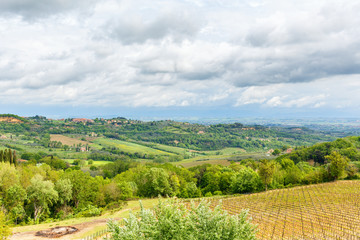Fototapeta na wymiar Winery in a rural Italian landscape