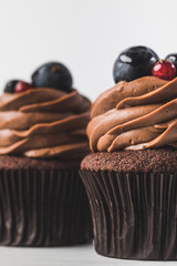 chocolate cupcakes with cream, grape and berries isolated on white