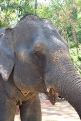 phuket thailande