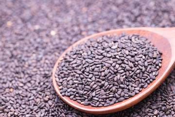 Black sesame in wooden spoon on sesame background.