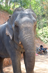 phuket thailande