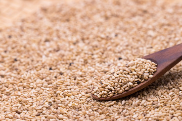 white sesame in wooden spoon on sesame background.