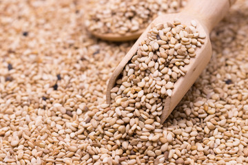 white sesame in wooden spoon on sesame background.