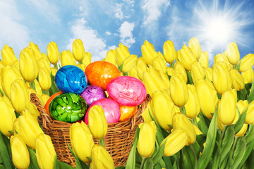 yellow tulips and easter eggs