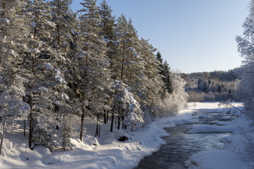 Obraz premium Little stream in the forest with ice and snow on both sides,