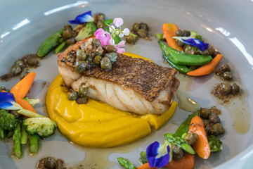 grilled grouper fillet steak