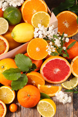 assorted citrus fruits