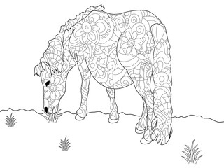 Anti stress coloring book pony. Horse doodle style. Black lines, white background vector