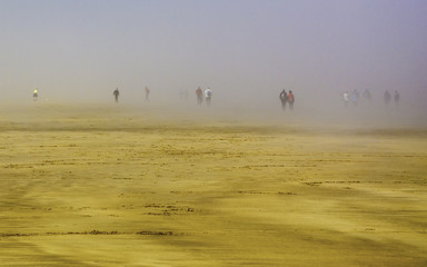 Sea Fret