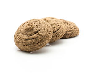 Three cocoa oat cookies isolated on white background brown crispy drop shape biscuits in row.