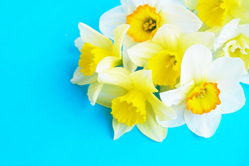 Fototapeta premium Tender minimalistic spring flowers composition on texture surface. Beautiful feminine plant decoration for holiday greeting card. Summertime, summer, spring, march april, june july. Happy mother's day