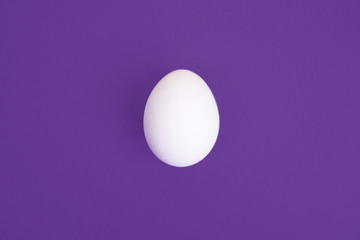 One white egg on ultra violet background.