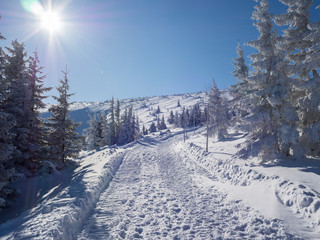 Sudety - piękny słoneczny zimowy dzień w górach.