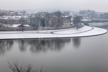 plants in courtyard in snow. Krakow, Poland