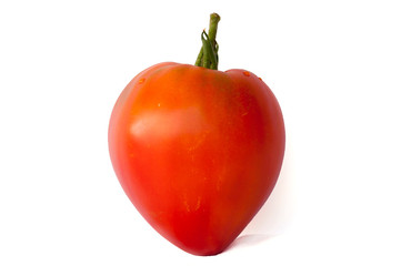 Tomate cœur de bœuf sur fond blanc.