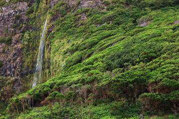 Waterfall on Flores Island, Azores, Portugal, Europe