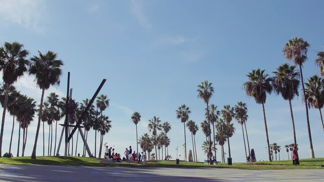 Venice Beach Palm Trees & Blue Sky Scenic, Los Angeles California