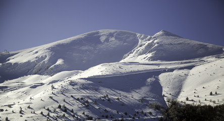 Natural snowy forest